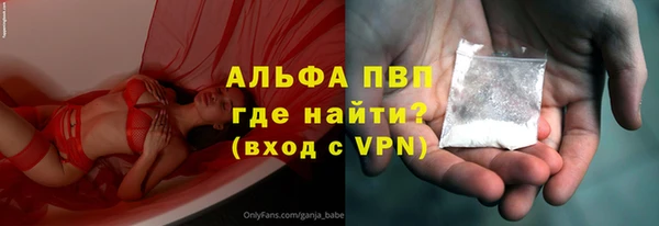 шишки Богородицк