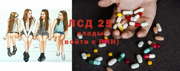 шишки Богородицк
